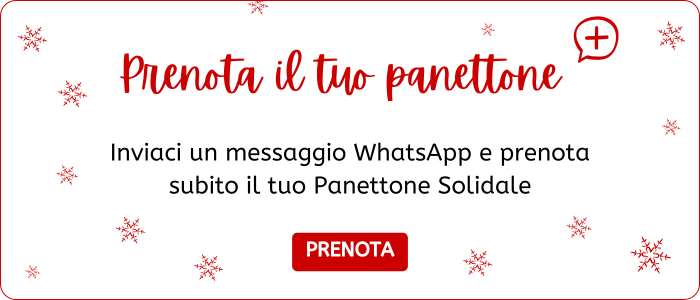 Panettone whatsapp