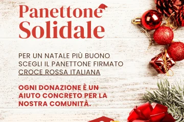 panettone solidale 2025