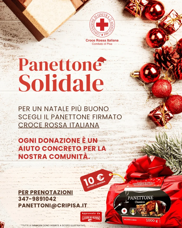 panettone solidale 2025